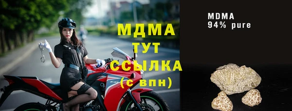 стаф Вязьма